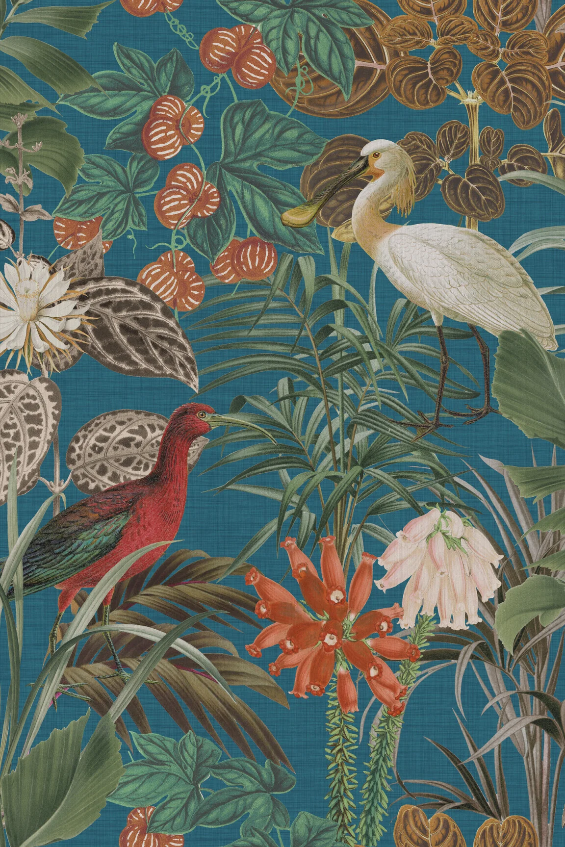 ARTE Birds of Paradise The Wading Birds BOP501 - 51Dnspod | Smaakvolle damp – Verzendkosten vrij vanaf 40€ ARTE Birds of Paradise The Wading Birds BOP501 - 51Dnspod | Smaakvolle damp – Verzendkosten vrij vanaf 40€