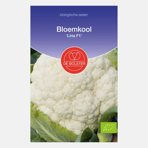 Bloemkool 'Liria F1' BIO - 51Dnspod | Smaakvolle damp – Verzendkosten vrij vanaf 40€
