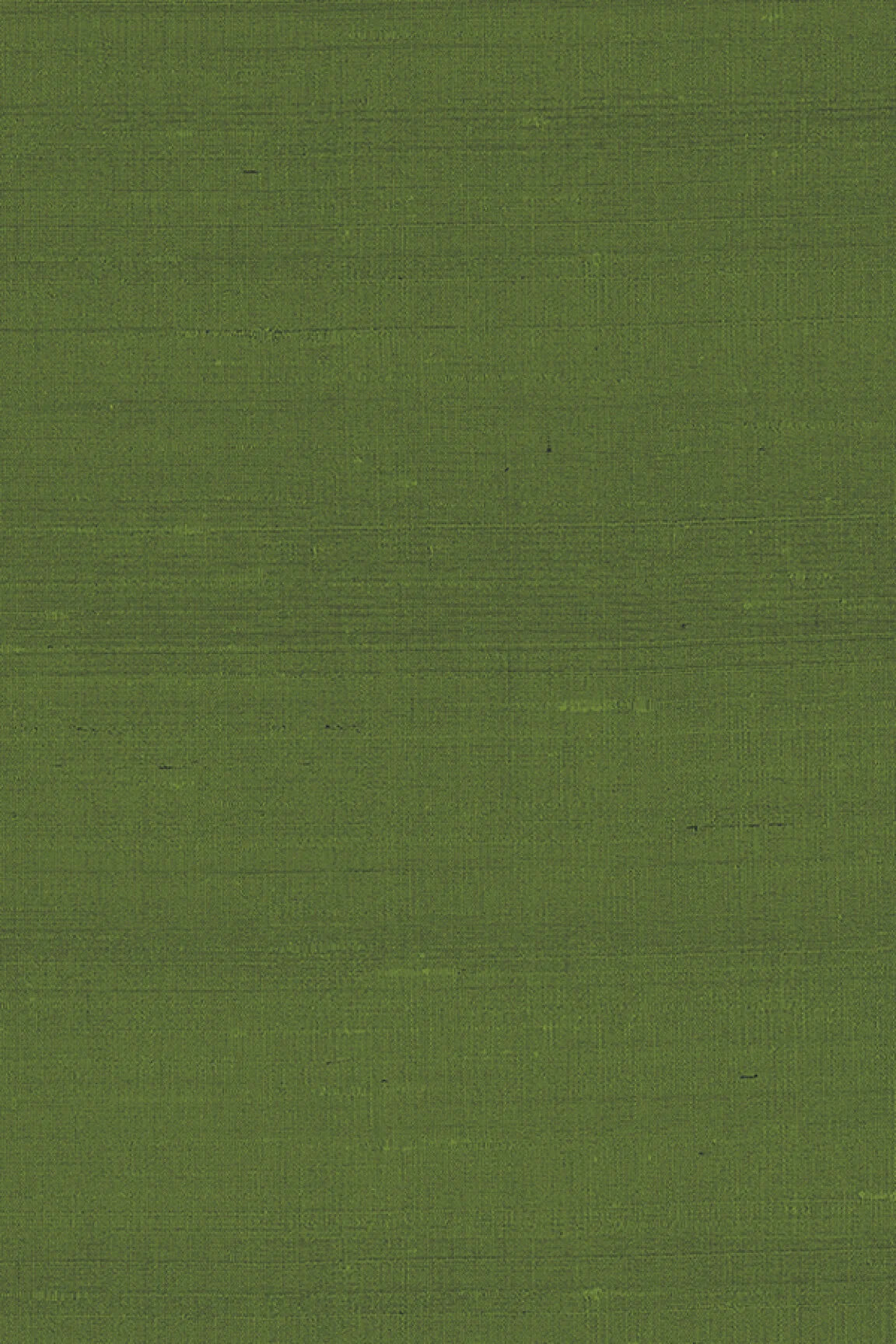 ARTE Paleo Latus 50519 - 51Dnspod | Smaakvolle damp – Verzendkosten vrij vanaf 40€ ARTE Paleo Latus 50519 - 51Dnspod | Smaakvolle damp – Verzendkosten vrij vanaf 40€