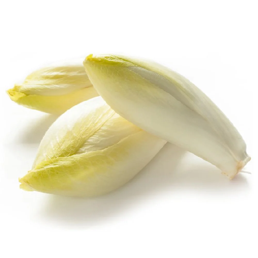 Biologische Witlof 1 KG - 51Dnspod | Smaakvolle damp – Verzendkosten vrij vanaf 40€ Biologische Witlof 1 KG - 51Dnspod | Smaakvolle damp – Verzendkosten vrij vanaf 40€