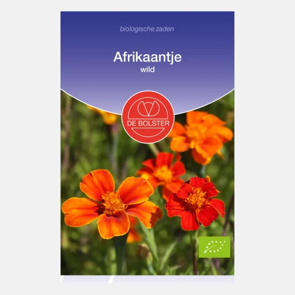 Afrikaantje, wild BIO - 51Dnspod | Smaakvolle damp – Verzendkosten vrij vanaf 40€