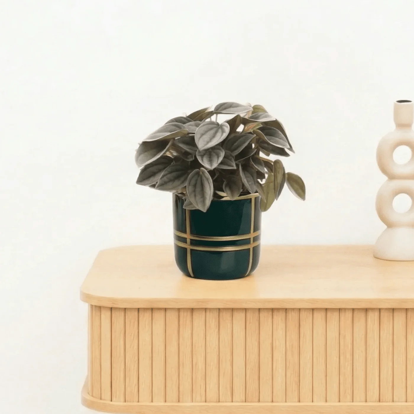 Bambino Napoli Nights - 10cm - 51Dnspod | Smaakvolle damp – Verzendkosten vrij vanaf 40€ Bambino Napoli Nights - 10cm - 51Dnspod | Smaakvolle damp – Verzendkosten vrij vanaf 40€