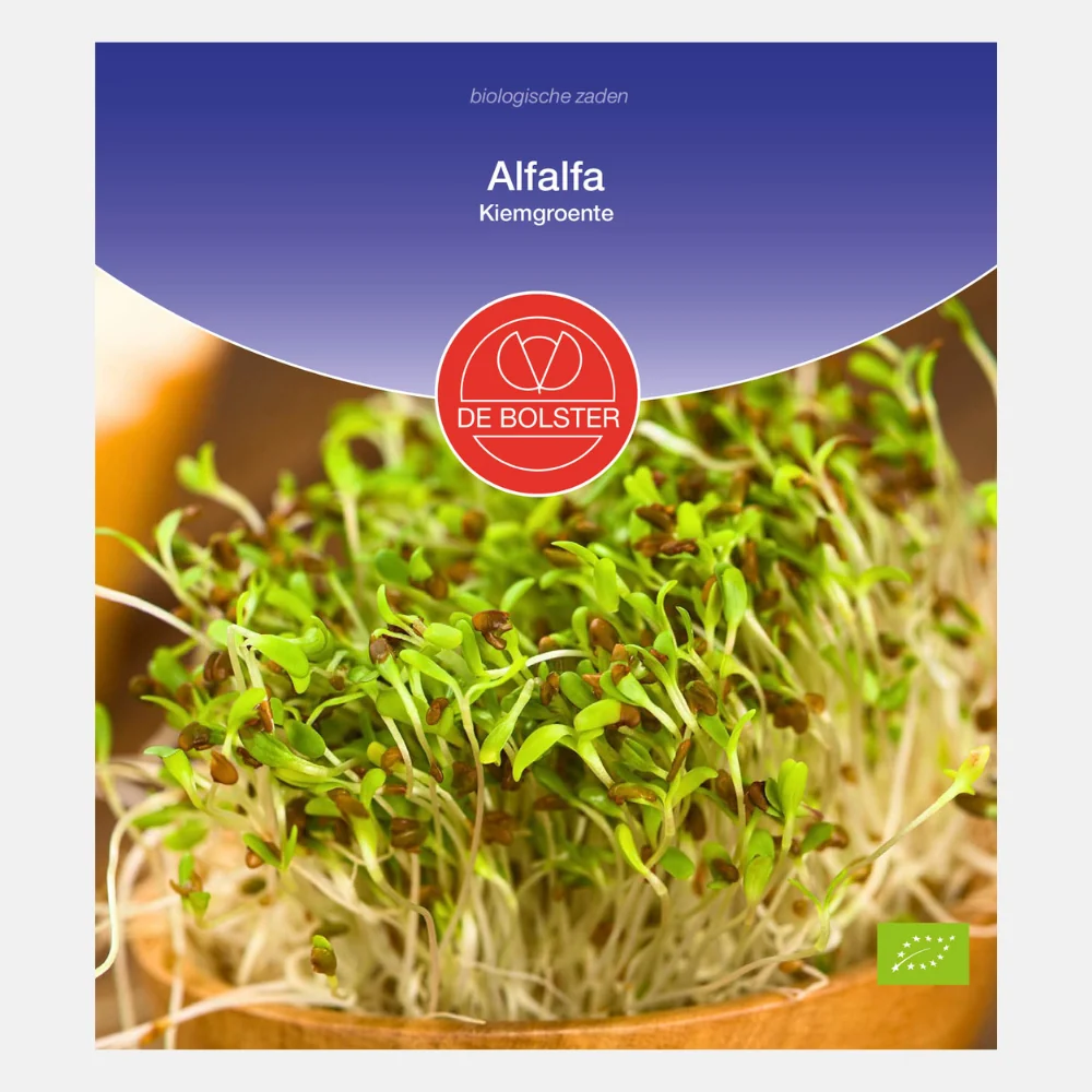 Alfalfa - Kiemgroenten BIO - 51Dnspod | Smaakvolle damp – Verzendkosten vrij vanaf 40€ Alfalfa - Kiemgroenten BIO - 51Dnspod | Smaakvolle damp – Verzendkosten vrij vanaf 40€