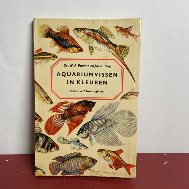 Aquarium vissen in kleuren - 51Dnspod | Smaakvolle damp – Verzendkosten vrij vanaf 40€ Aquarium vissen in kleuren - 51Dnspod | Smaakvolle damp – Verzendkosten vrij vanaf 40€