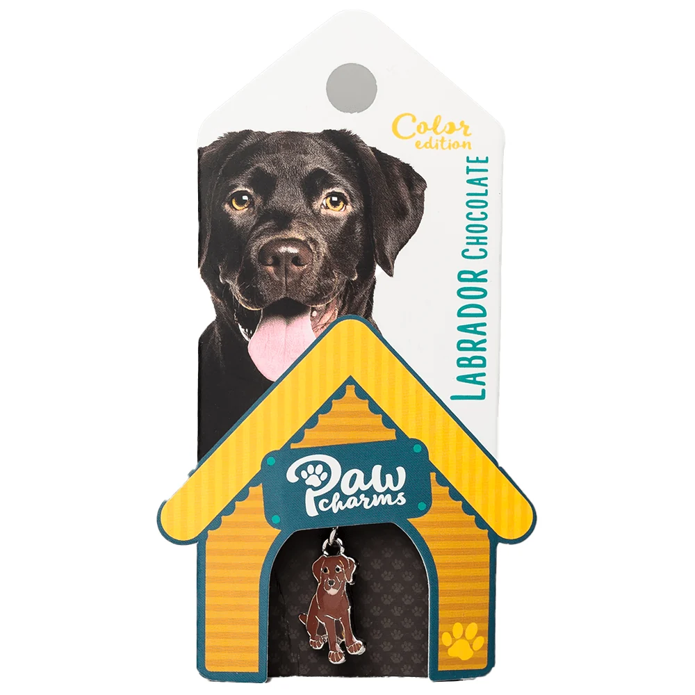 Bedeltje - Labrador Bruin - Stijlvol - voor Jouw huisdier & jezelf - 51Dnspod | Smaakvolle damp – Verzendkosten vrij vanaf 40€ Bedeltje - Labrador Bruin - Stijlvol - voor Jouw huisdier & jezelf - 51Dnspod | Smaakvolle damp – Verzendkosten vrij vanaf 40€