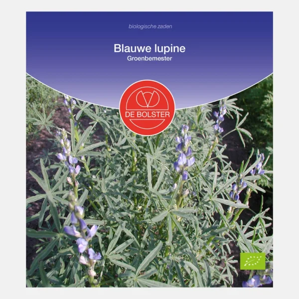 Blauwe lupine BIO - 51Dnspod | Smaakvolle damp – Verzendkosten vrij vanaf 40€