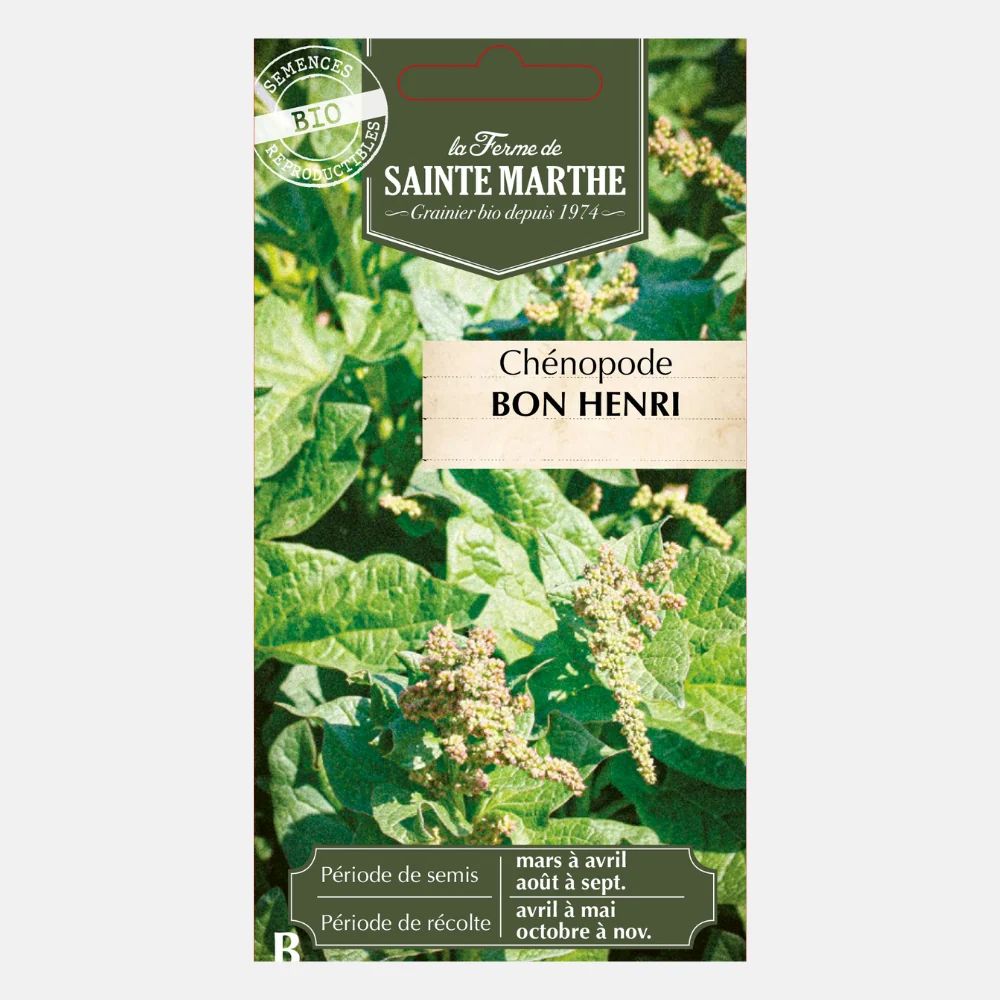 Brave Hendrik BIO - 51Dnspod | Smaakvolle damp – Verzendkosten vrij vanaf 40€ Brave Hendrik BIO - 51Dnspod | Smaakvolle damp – Verzendkosten vrij vanaf 40€