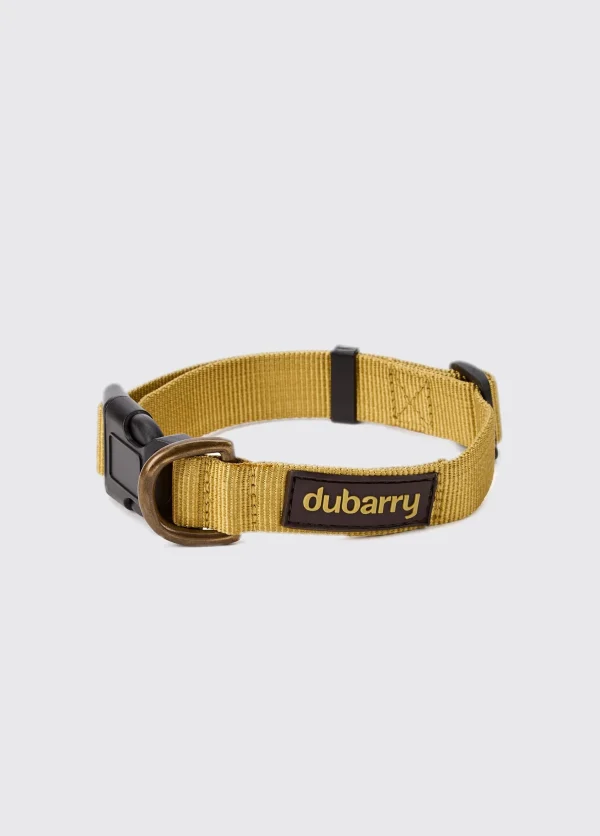 Apollo Nylon Hondenhalsband - 51Dnspod | Smaakvolle damp – Verzendkosten vrij vanaf 40€