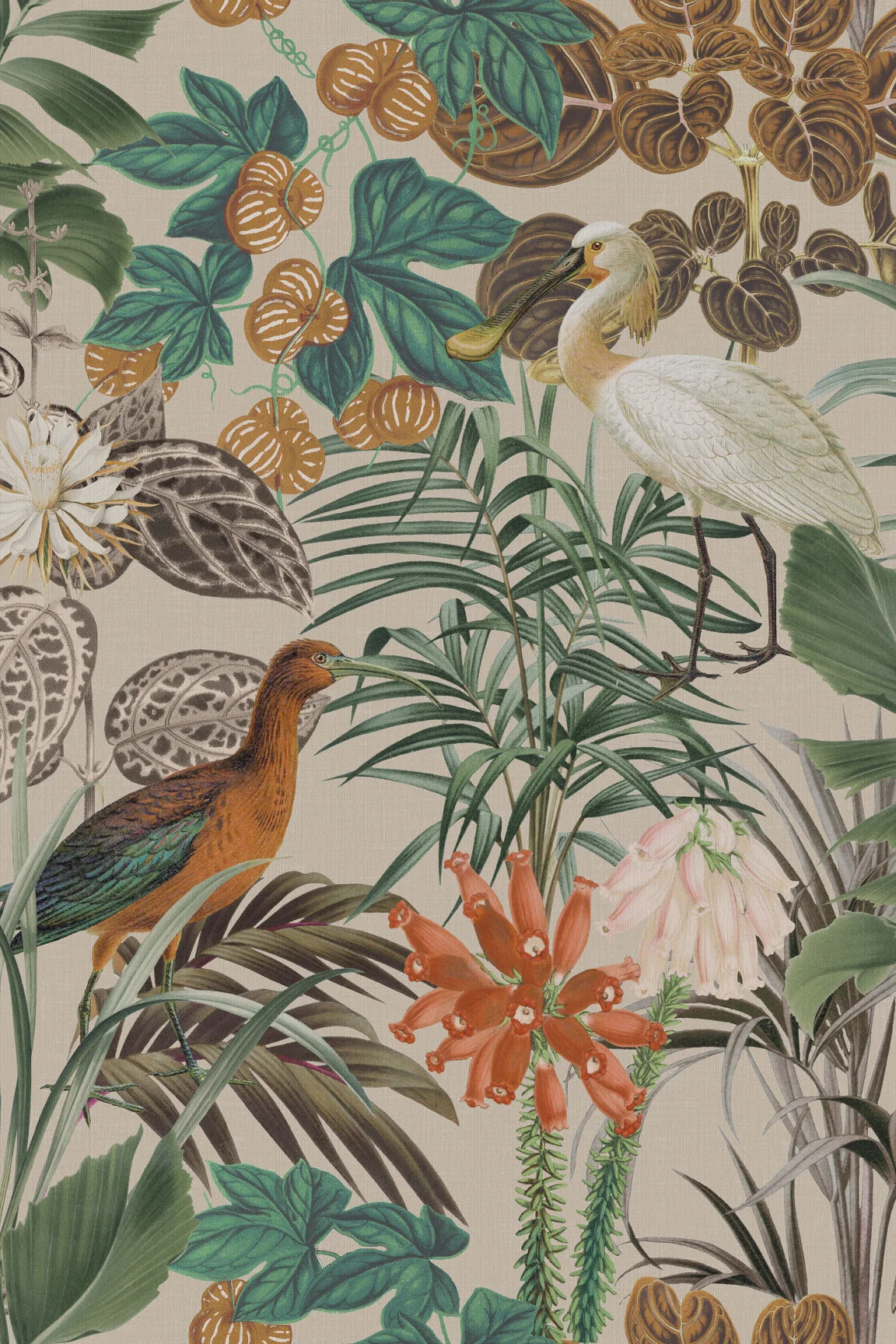 ARTE Birds of Paradise The Wading Birds BOP502 - 51Dnspod | Smaakvolle damp – Verzendkosten vrij vanaf 40€ ARTE Birds of Paradise The Wading Birds BOP502 - 51Dnspod | Smaakvolle damp – Verzendkosten vrij vanaf 40€