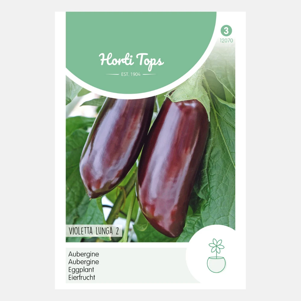 Aubergine 'Lange Violette' - 51Dnspod | Smaakvolle damp – Verzendkosten vrij vanaf 40€ Aubergine 'Lange Violette' - 51Dnspod | Smaakvolle damp – Verzendkosten vrij vanaf 40€