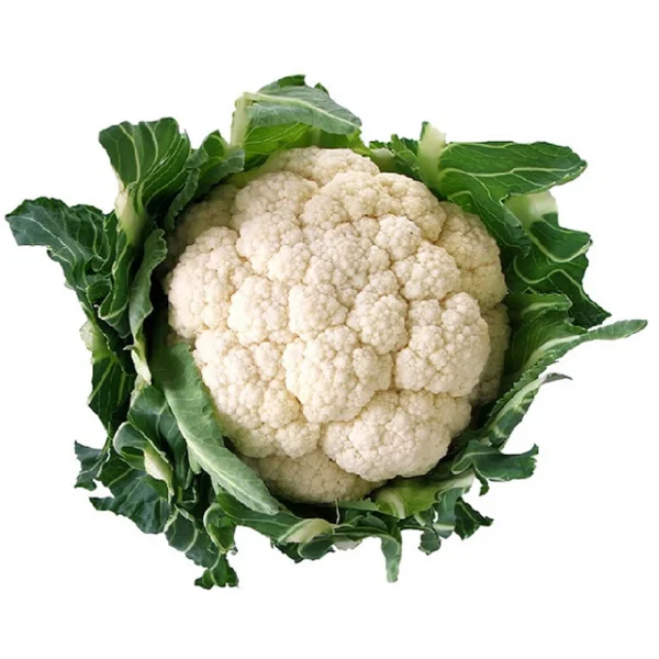 Biologische Bloemkool - 51Dnspod | Smaakvolle damp – Verzendkosten vrij vanaf 40€