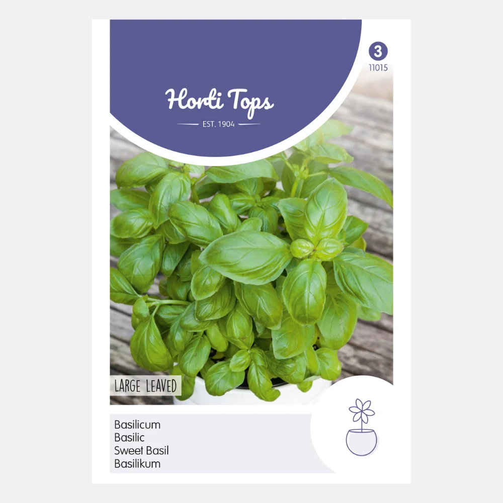 Basilicum - grootbladig - 51Dnspod | Smaakvolle damp – Verzendkosten vrij vanaf 40€ Basilicum - grootbladig - 51Dnspod | Smaakvolle damp – Verzendkosten vrij vanaf 40€