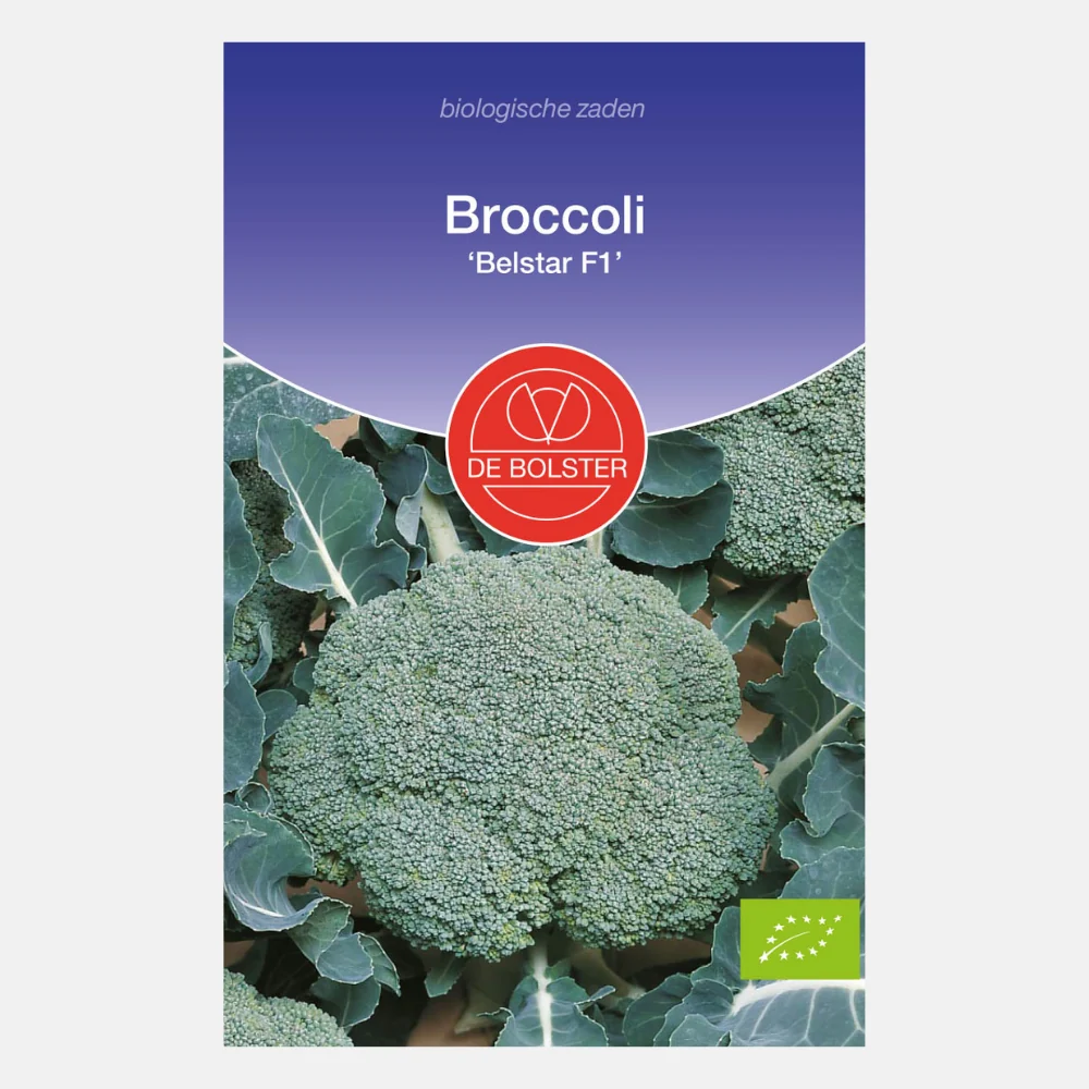 Broccoli 'Belstar F1' BIO - 51Dnspod | Smaakvolle damp – Verzendkosten vrij vanaf 40€ Broccoli 'Belstar F1' BIO - 51Dnspod | Smaakvolle damp – Verzendkosten vrij vanaf 40€